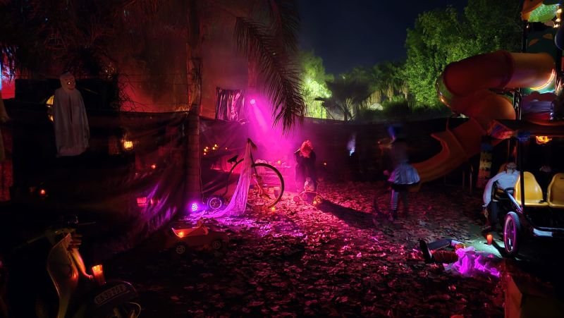 Halloween Camping Don Cactus